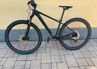 Mountainbike, Fahrrad, Bike, Fitness Brandenburg - Luckenwalde Vorschau