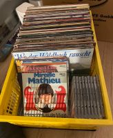 Schallplatten LP's Mini-LP's und CD's Sammlung Brandenburg - Königs Wusterhausen Vorschau