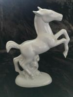 Porzellanfigur Pferd Porzellan figur DDR Thüringen - Berka/Werra Vorschau