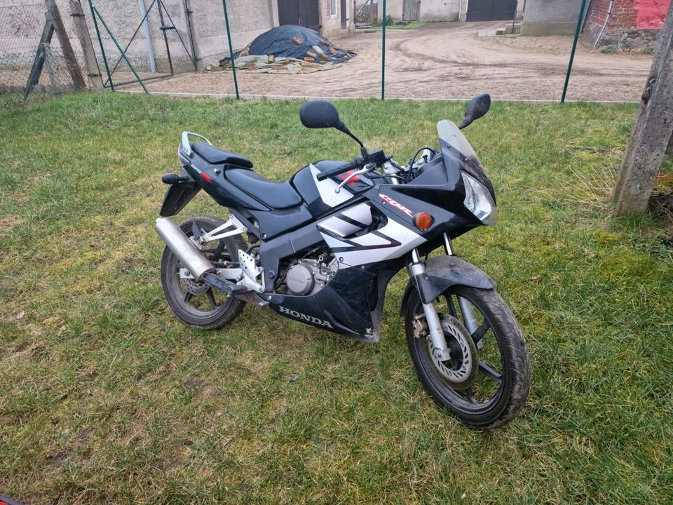 Honda 125 CBR in Karstädt Prignitz