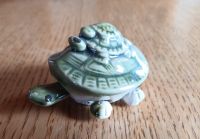 Verkaufe schöne "wackel" Schildkröte Keramik glasiert Deko Dresden - Schönfeld-Weißig Vorschau