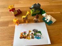 Lego Duplo Zoo 4962 Bayern - Kissing Vorschau