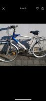 Bavaria Fahrrad München - Trudering-Riem Vorschau