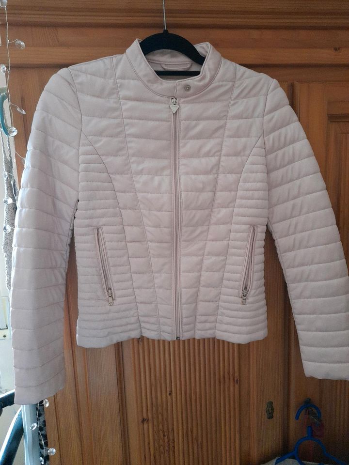 GUESS STEPPJACKE ROSA in Langerwehe