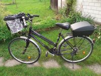 Schauff Damen Fahrrad 28 Zoll Baden-Württemberg - Limbach Vorschau