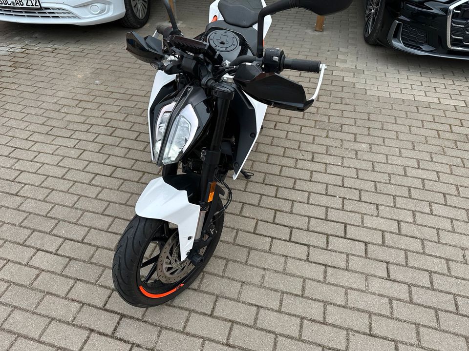 KTM Duke 125 in Stendal