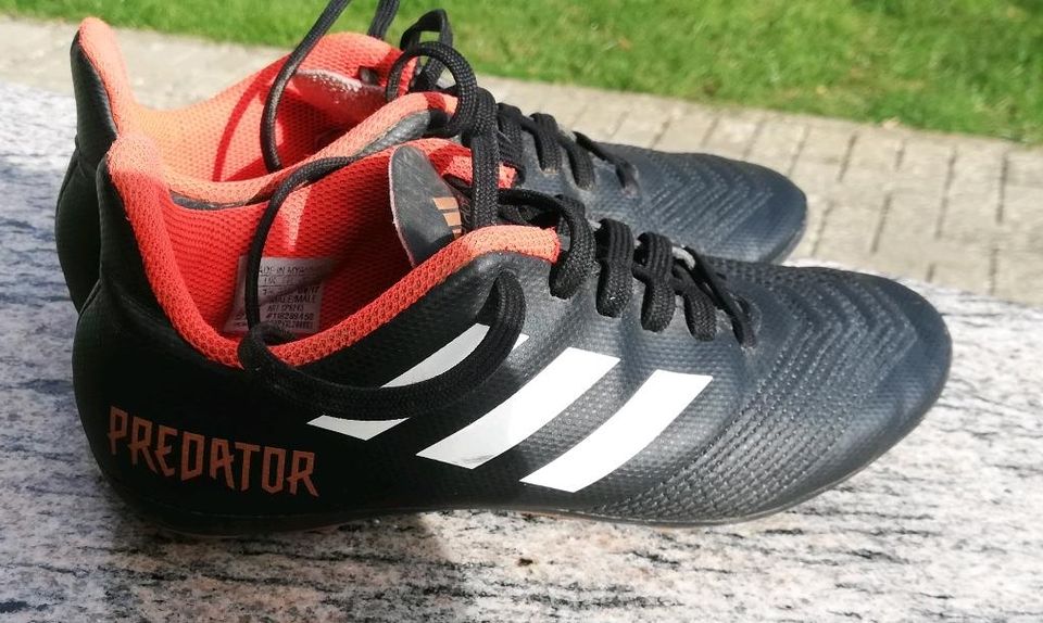 Adidas Predator Fussballschuhe Größe 33,5 in Bütthard