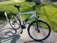 E-Bike LIQBIKE mit neuem Bosch Performance Motor, RH 55cm Schleswig-Holstein - Tröndel Vorschau