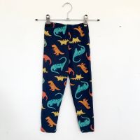 NEU Etsy Kinder Leggings Dino Dinosaurier Stoffhose 86 92 Leipzig - Sellerhausen-Stünz Vorschau