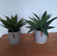 2 x Kunstpflanze Aloe mit Übertopf Niedersachsen - Bunde Vorschau
