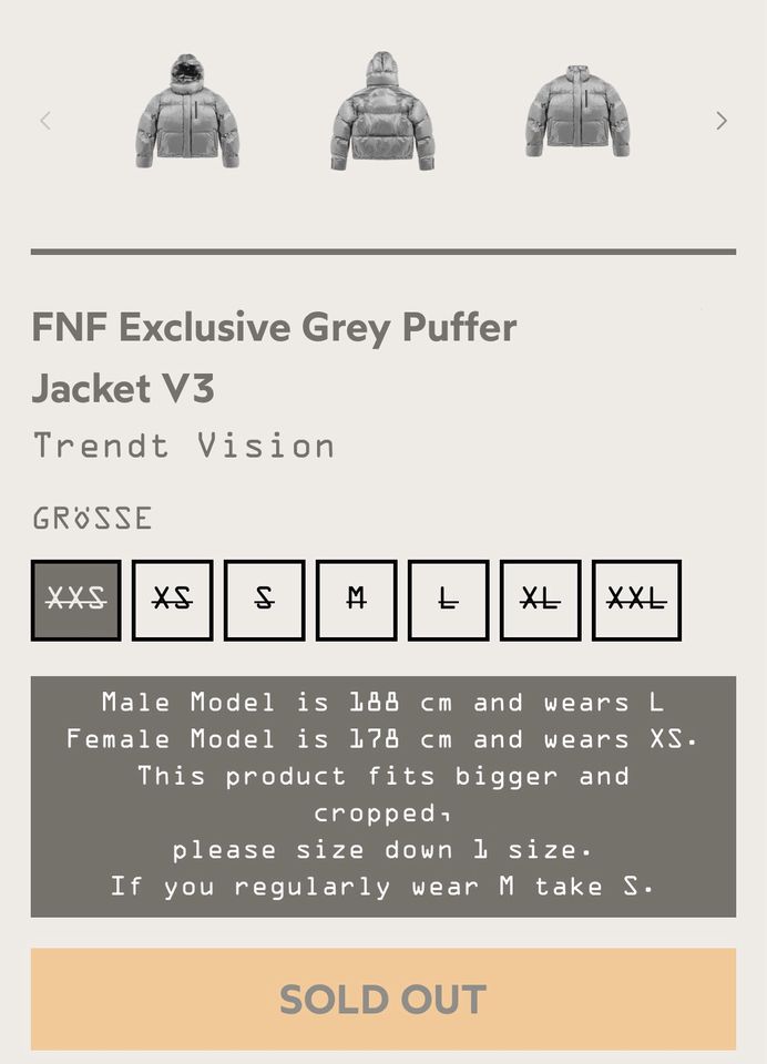 Trendt Vision FNF Exclusive Puffer V3 grey | NEU in Bretzenheim
