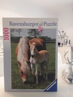 ☆ PFERDE PUZZLE 1000 TEILE RAVENSBURGER NEUWERTIG☆ Nordrhein-Westfalen - Rheda-Wiedenbrück Vorschau