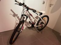 Scott Fahrrad 26 Zoll Baden-Württemberg - Gammertingen Vorschau