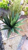 Agave Kunstpflanze Deko Nordrhein-Westfalen - Marl Vorschau