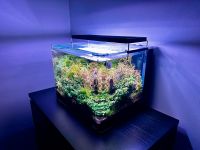 Aquarium / Nano Cube Complete / Dennerle 55l / Tropica CO2 System Hessen - Vellmar Vorschau