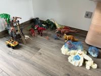 Playmobil Dino-Abenteuer Konvolut Bayern - Haßfurt Vorschau