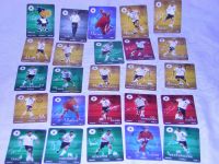Fußballkarte DFB 2010 von Rewe Sammelkarte pro Karte 0,03 € Niedersachsen - Vechelde Vorschau