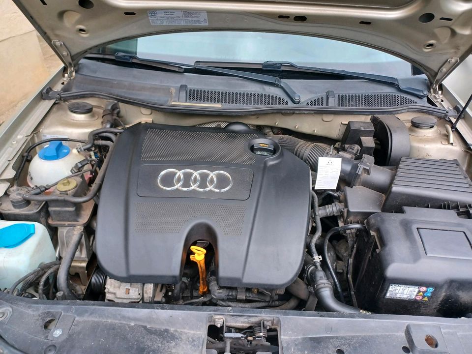 Audi a3 8l in Aschersleben