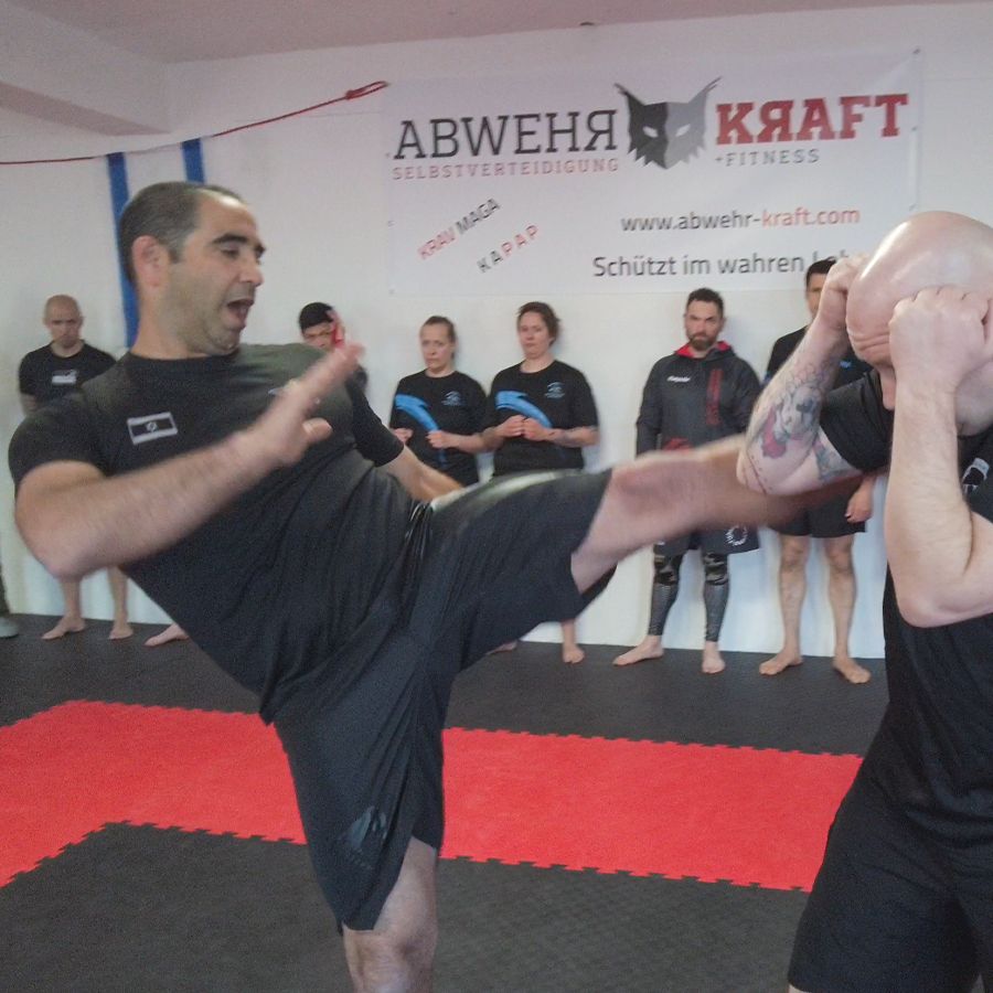 Krav Maga Instructor Ausbildung in Kiel