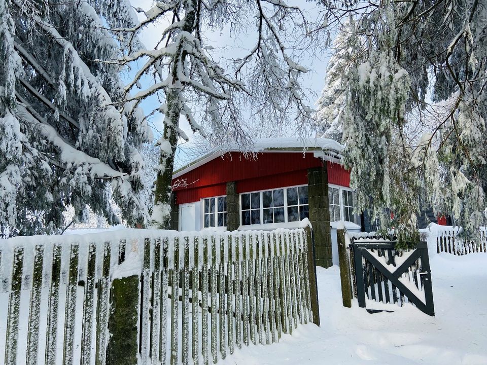 Ski- und Wanderhütte Steinheid bis 12 Personen direkt am Rennsteig in Neuhaus