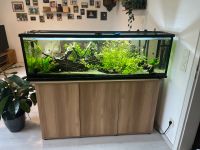 Aquarium 160x43x50,5cm+ Schrank + Filter, Lampe und Zubehör Nordrhein-Westfalen - Wesel Vorschau