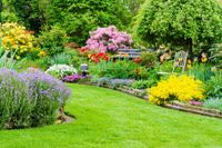Biete Gartenarbeit aller Art | Gartenpflege | Gartenbau Rheinland-Pfalz - Nieder-Olm Vorschau
