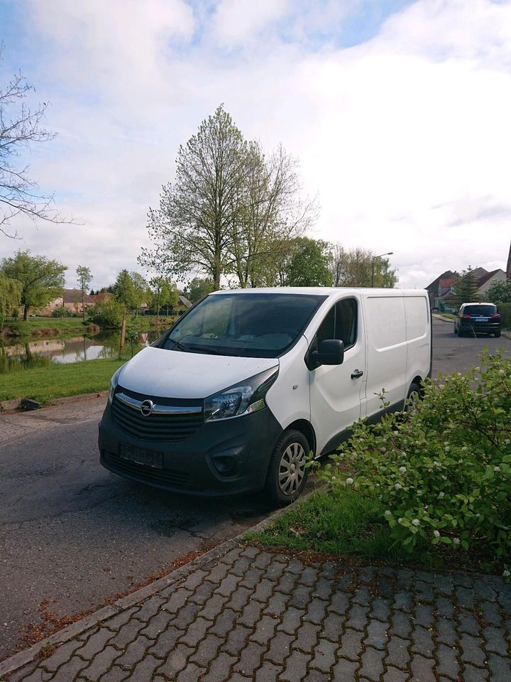 Opel Vivaro Kastenwagen FESTPREIS!! in Jüterbog