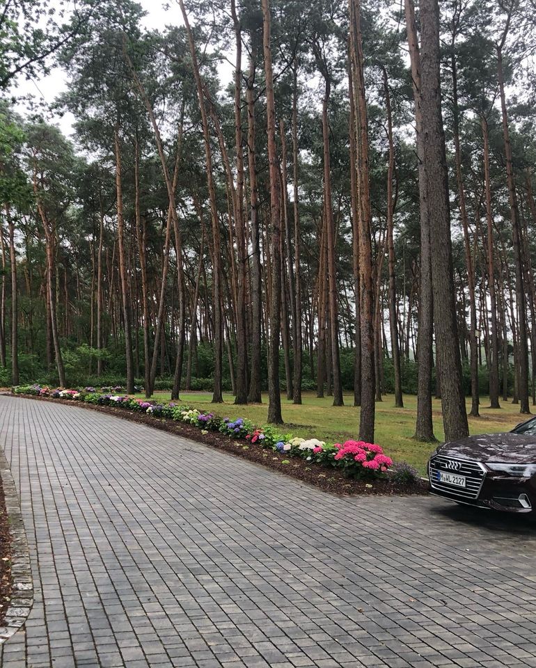 Gartenarbeiten, Pflaster, Baggern... uvm. Kostenlose Besichtigung in Hagen am Teutoburger Wald