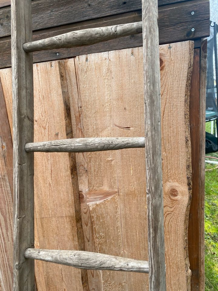 Holzleiter Deko Antik in Oschatz