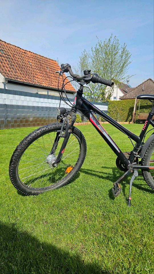 Fahrrad 26 zoll, Bacas Tyrone in Celle