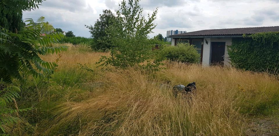 Handwerker, Bodenleger, Maler, Trockenbauer und vieles mehr in Schwandorf