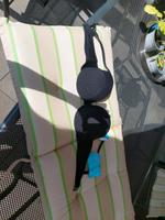 Bikini Oberteil Nordrhein-Westfalen - Lippstadt Vorschau