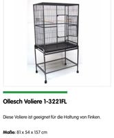 Vogel Voliere Rostock - Dierkow Vorschau