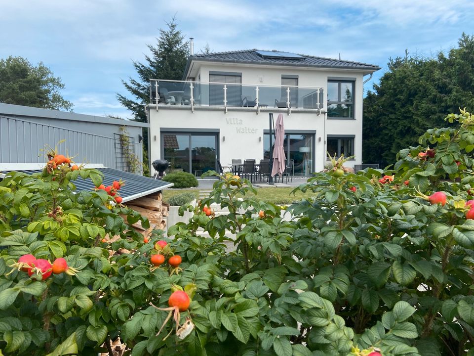 Ferienhaus Ferienwohnung Haus Insel Usedom Wasserblick Ostsee in Dessau-Roßlau