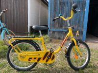 Puky Tigerenten Kinderfahrrad 18Zoll Königs Wusterhausen - Wildau Vorschau