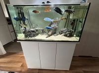 Aquarium mit Zubehör +Fische Brandenburg - Erkner Vorschau