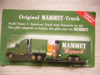 Mammut-Truck (Sammler-Truck) Sachsen - Auerbach Vorschau