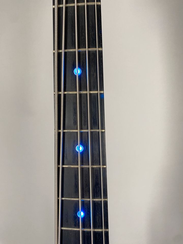 Nature Shock Custom 5 String "RD" BASS Illuminated Dots Case in Herne