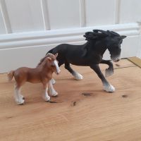 Schleich Pferde 2 × Kaltblut Niedersachsen - Leer (Ostfriesland) Vorschau