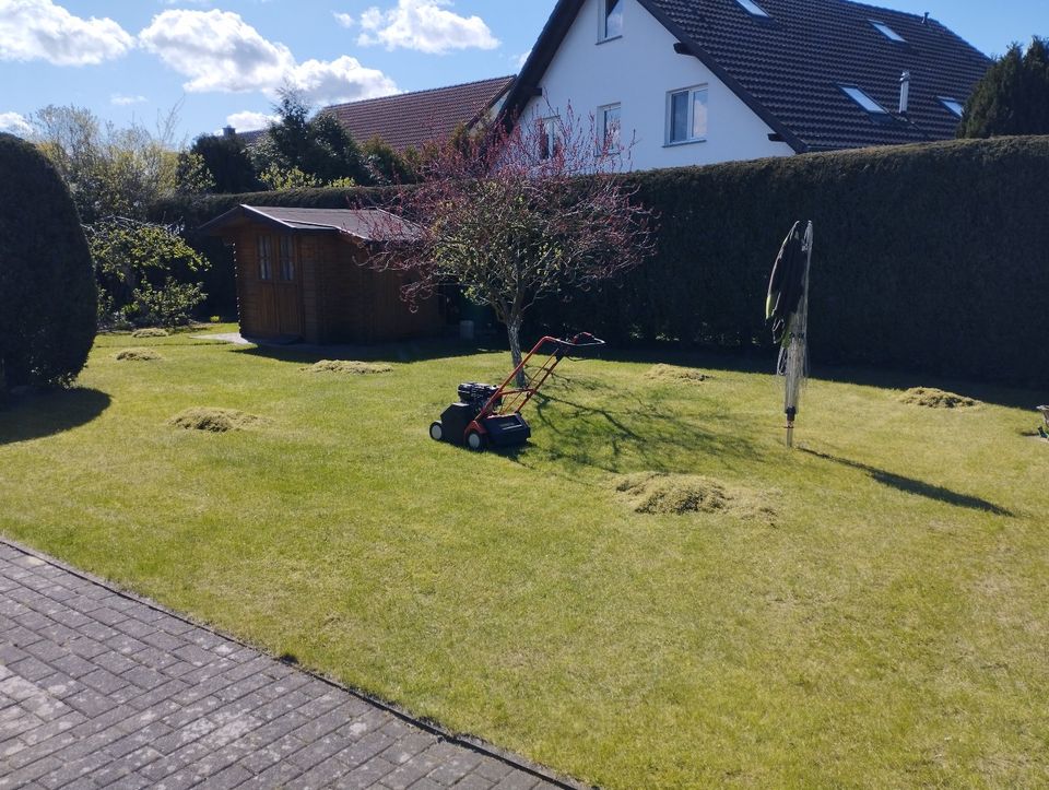 Rasen Vertikutieren Moos entfernen Düngen Rasen Nachsaat Mähen in Stralsund