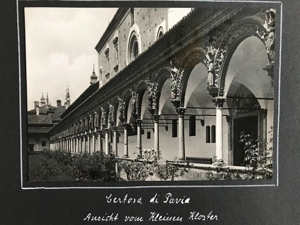 8 schöne alte Aufnahmen vom Ort  Pavia in Gräfenhainichen