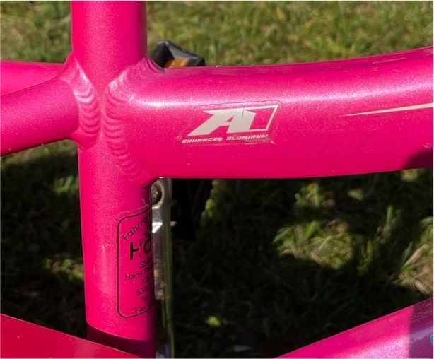 Specialized Hotrock 16 Zoll Kinderfahrrad BMX rosa pink in Euskirchen