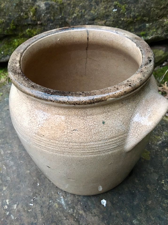 Großer Steinzeug Pott Keramiktopf Marmeladenpott Tontopf Vintage in Buchen (Odenwald)