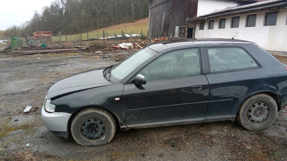 Verkaufe Audi A3 in Miltach