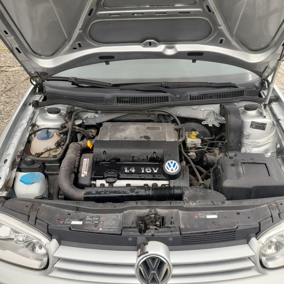 VW Golf 4   1,4L Benzin  Klima Alu  Tüv Neu in Gägelow