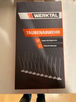 Taube / Vohelabwehr Dresden - Weixdorf Vorschau