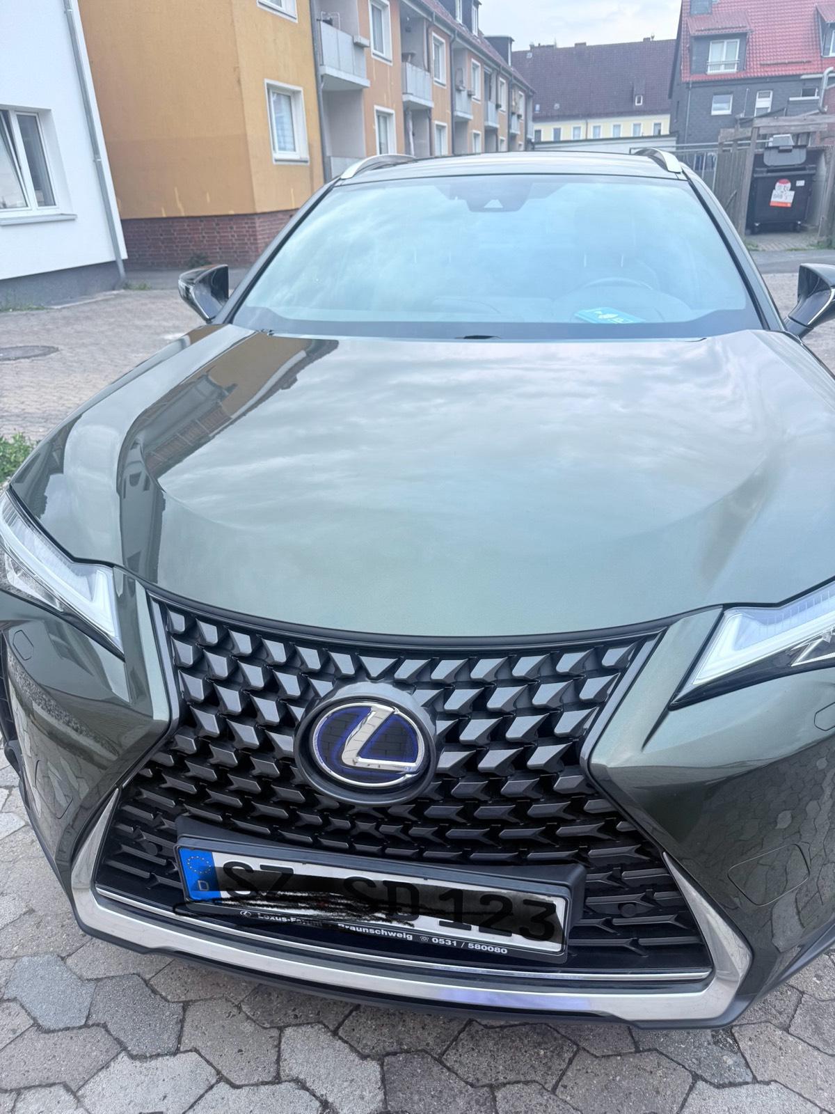 Abbildung des Autos Lexus UX250 Hybrid&#x2F;…