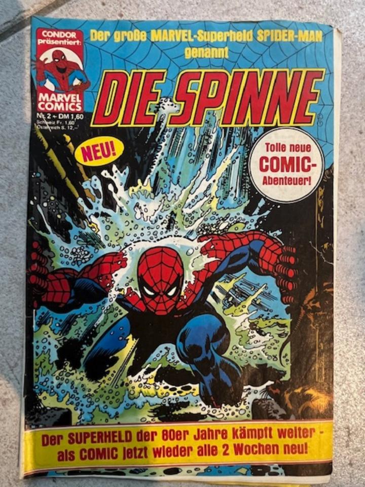 Comics Sammlung Die Spinne, Superman, Gerechtigkeitsliga in Warberg