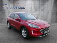 Ford Kuga Hybrid Titanium X Sachsen - Machern Vorschau