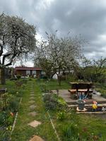 Garten mit Haus, Gewächshaus und 2 Terrassen Schwerin Schwerin - Neu Zippendorf Vorschau